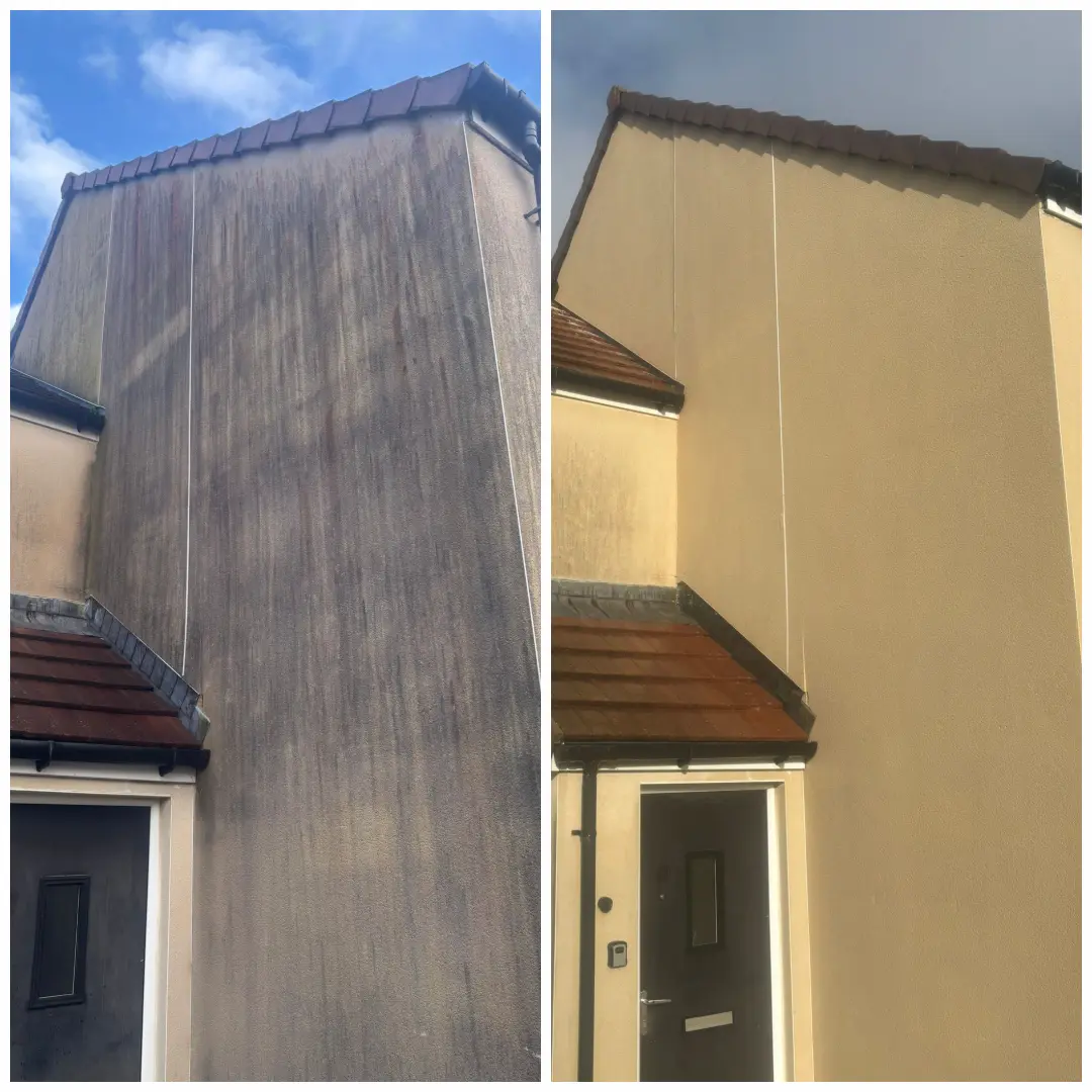Render cleaning before and after — algae and staining removed from rendered wall