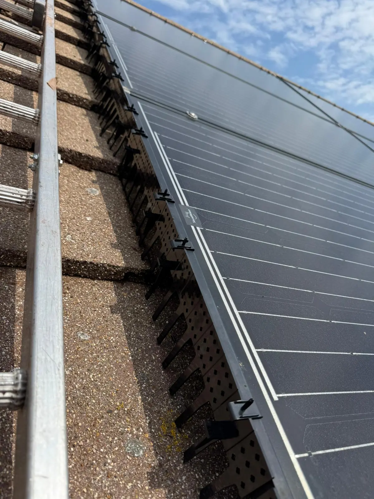 Solar Panel Bird Proofing