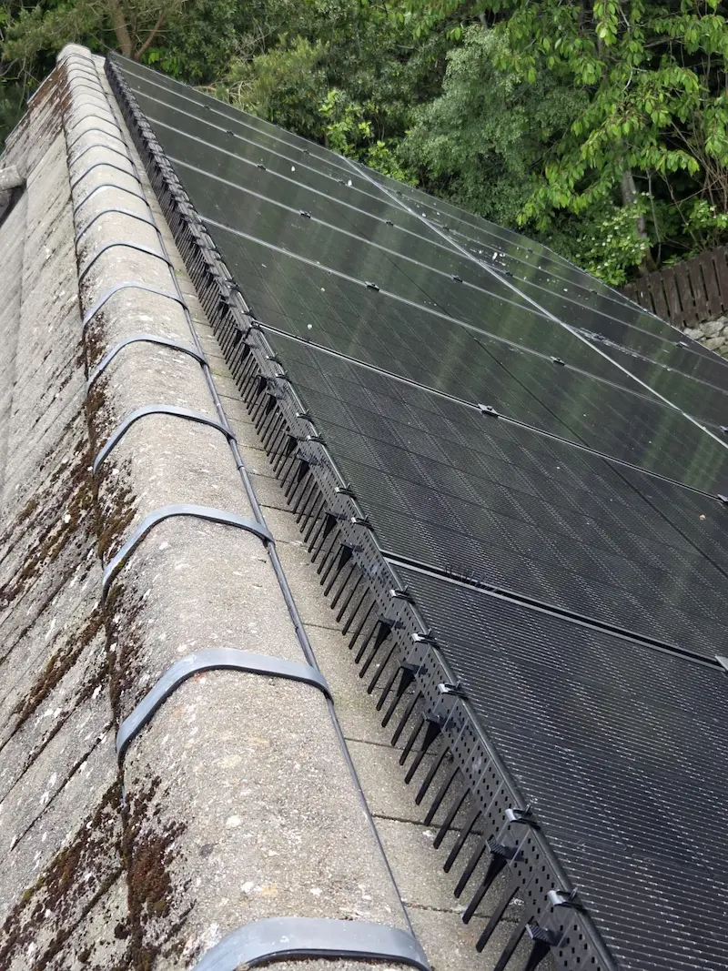 Defender Jaws solar panel bird proofing installation by Skyhawk