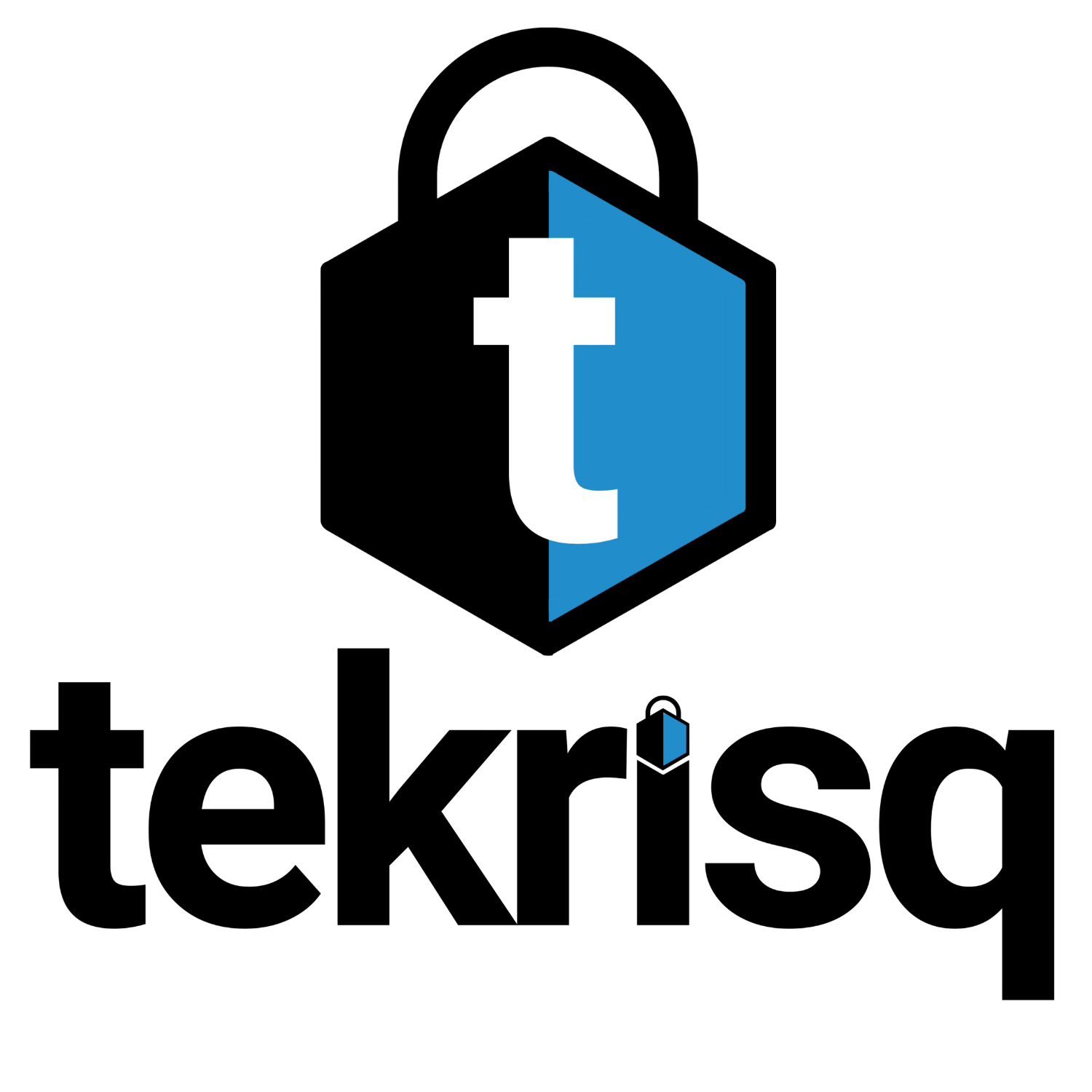 tekrisq cybersecurity leadership