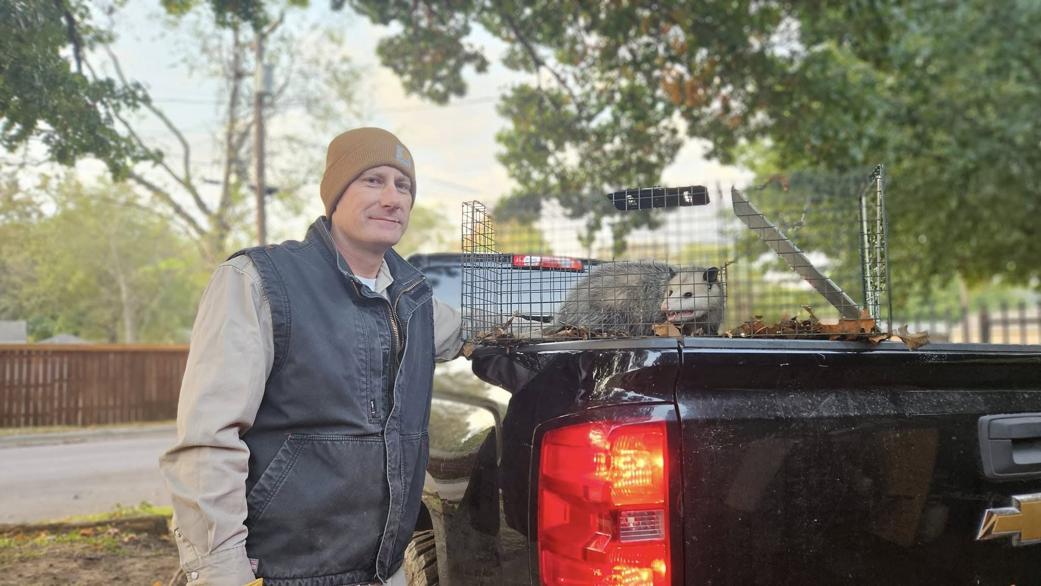Lone Star Wildlife Solutions technician with captured opossum after successful removal from residential property