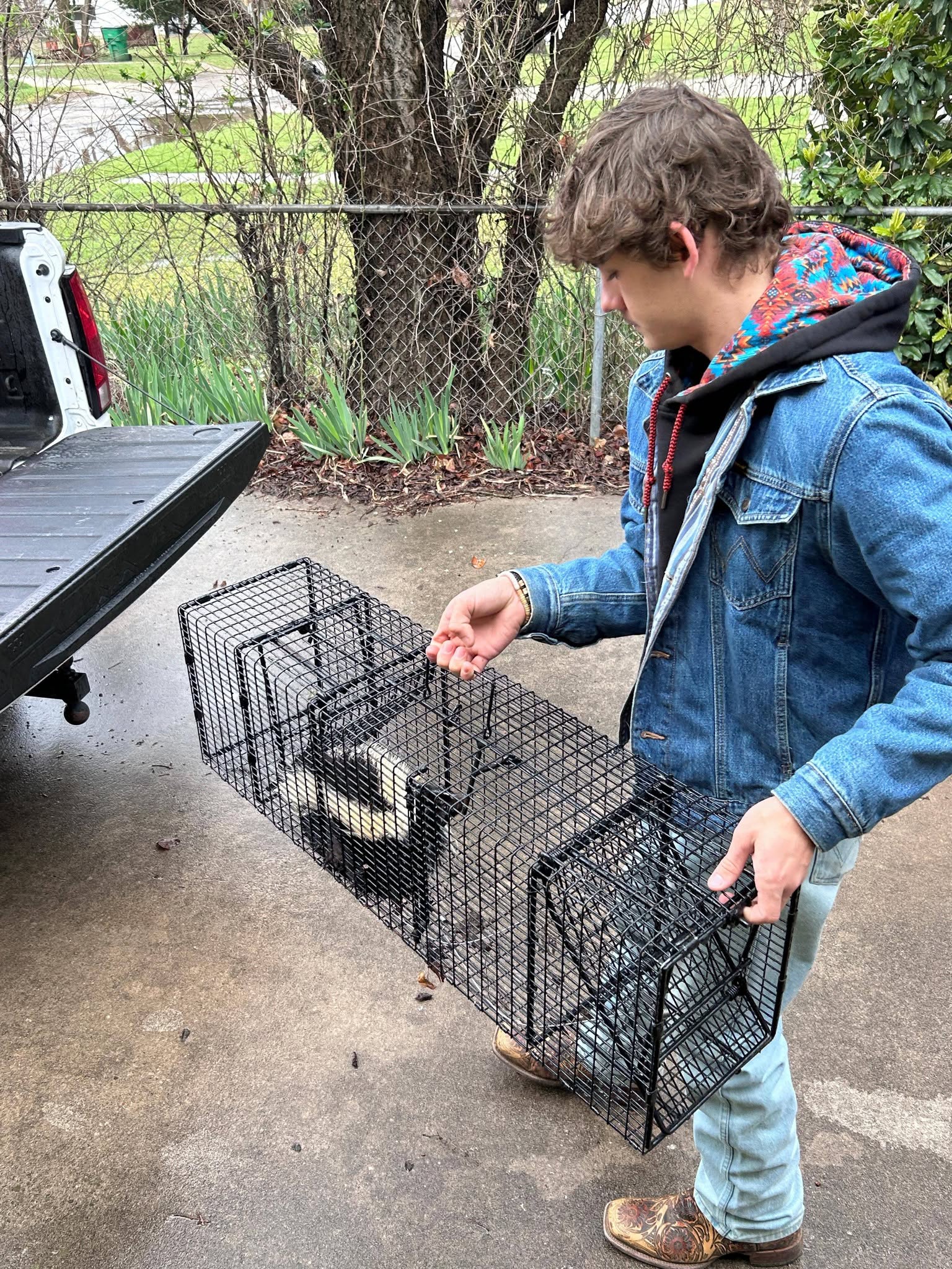 Lone Star Wildlife Solutions technician with captured skunk after successful removal from residential property