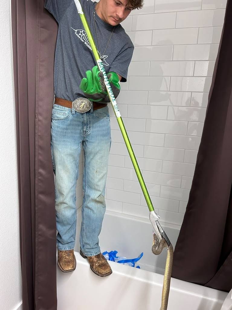 Lone Star Wildlife Solutions technician with captured snake after successful removal from residential property