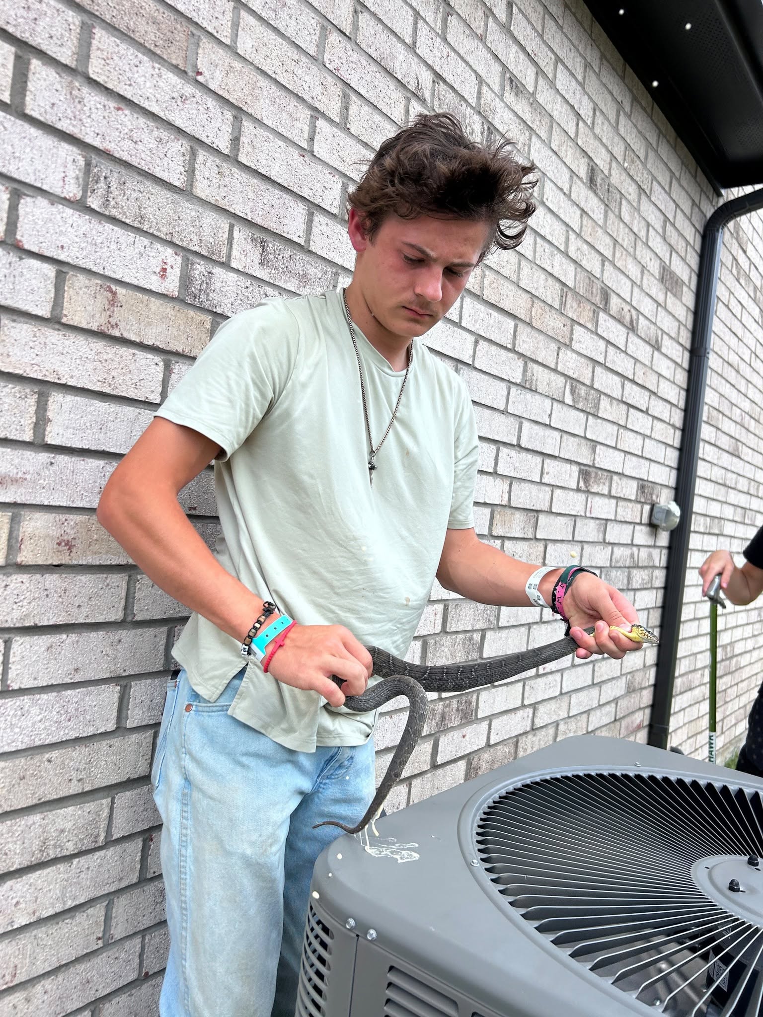 Lone Star Wildlife Solutions technician with captured snake after successful removal from residential property
