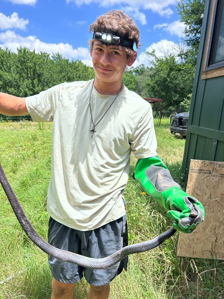 Lone Star Wildlife Solutions technician with captured snake after successful removal from residential property