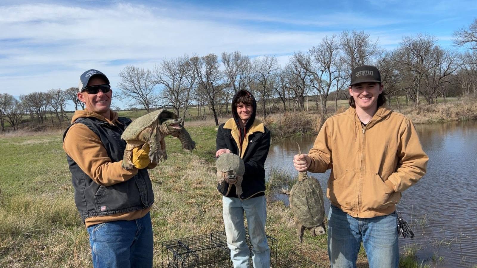 Lone Star Wildlife Solutions technician with captured turtle after successful removal from residential property