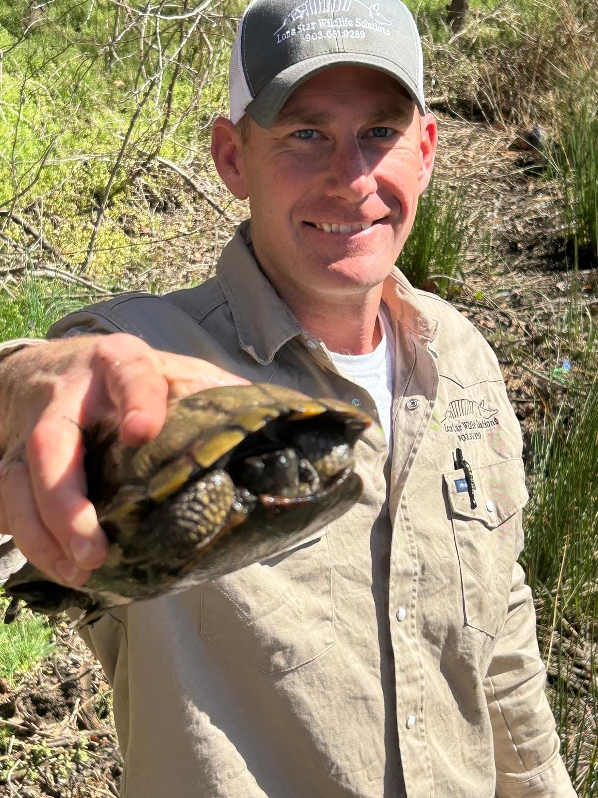 Lone Star Wildlife Solutions technician with captured turtle after successful removal from residential property