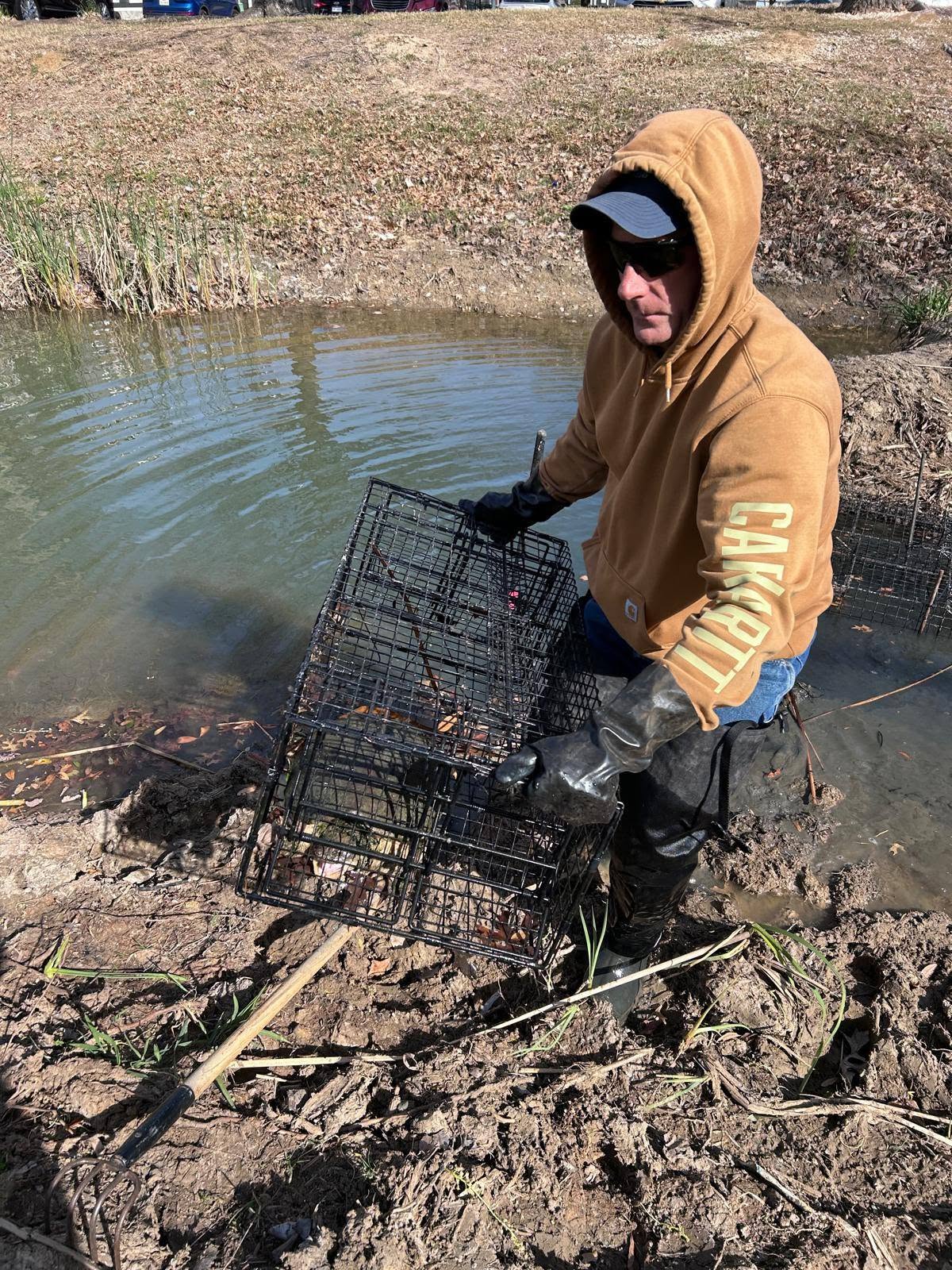 Lone Star Wildlife Solutions technician with captured turtle after successful removal from residential property