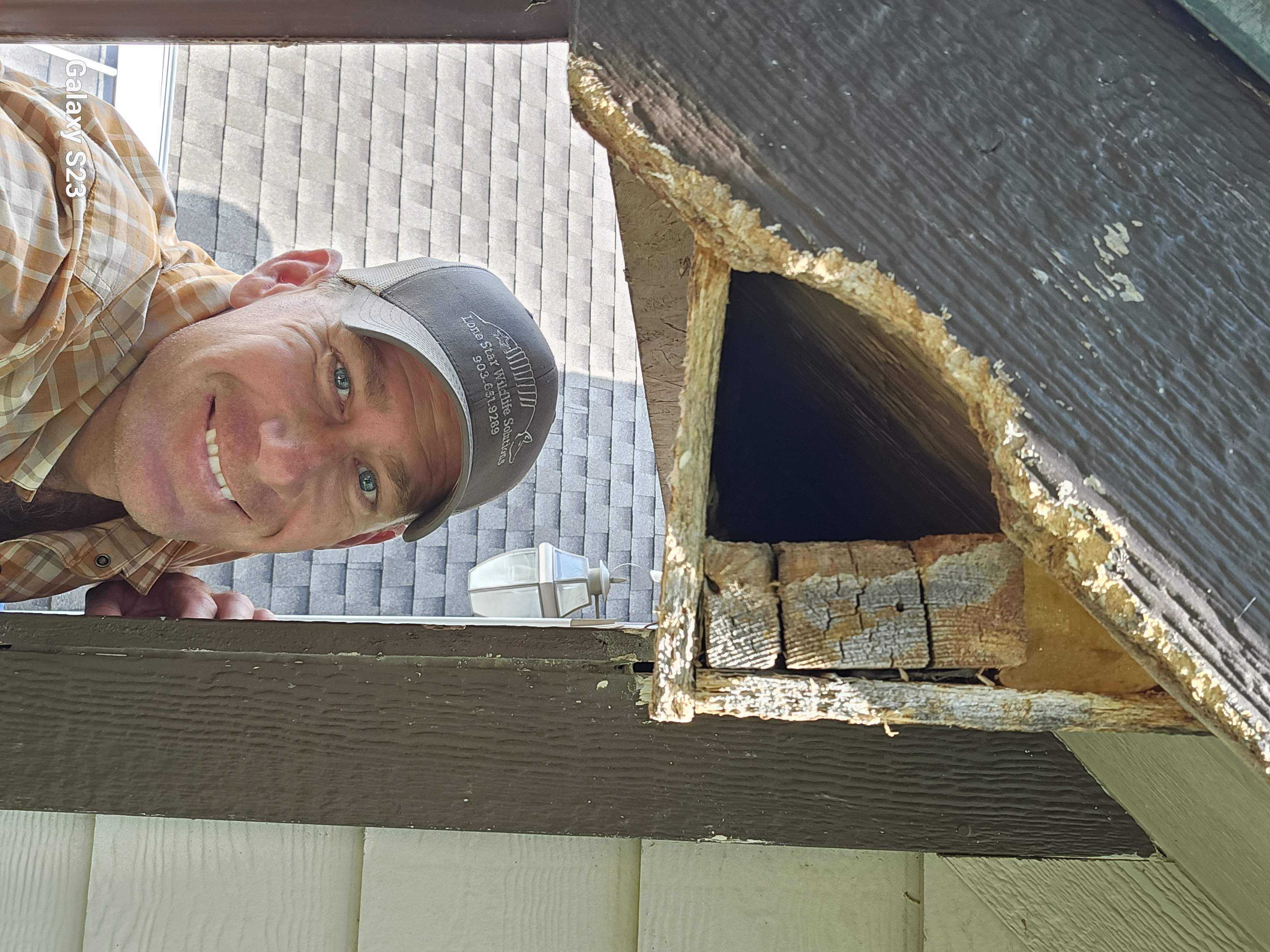Lone Star Wildlife Solutions technician performing wildlife damage repair on residential property