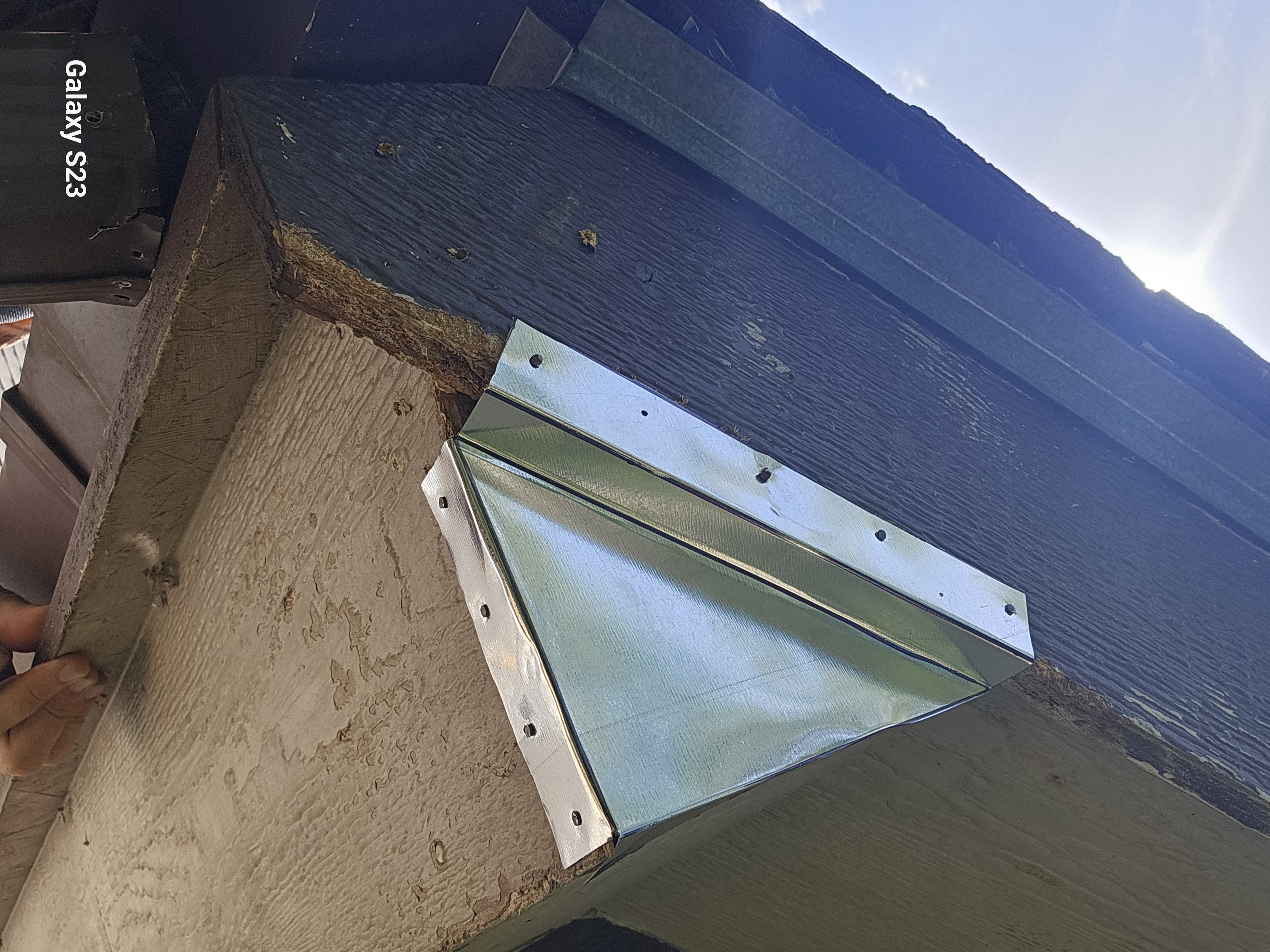 Lone Star Wildlife Solutions technician performing wildlife damage repair on residential property