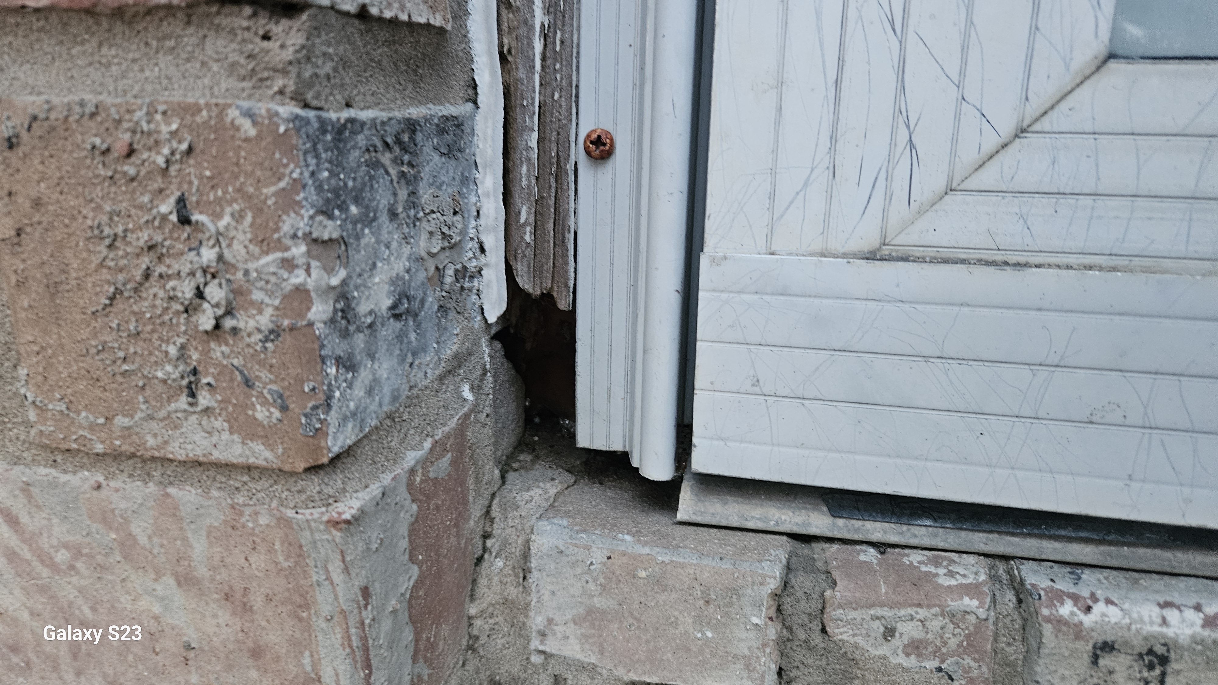 Lone Star Wildlife Solutions technician performing wildlife damage repair on residential property