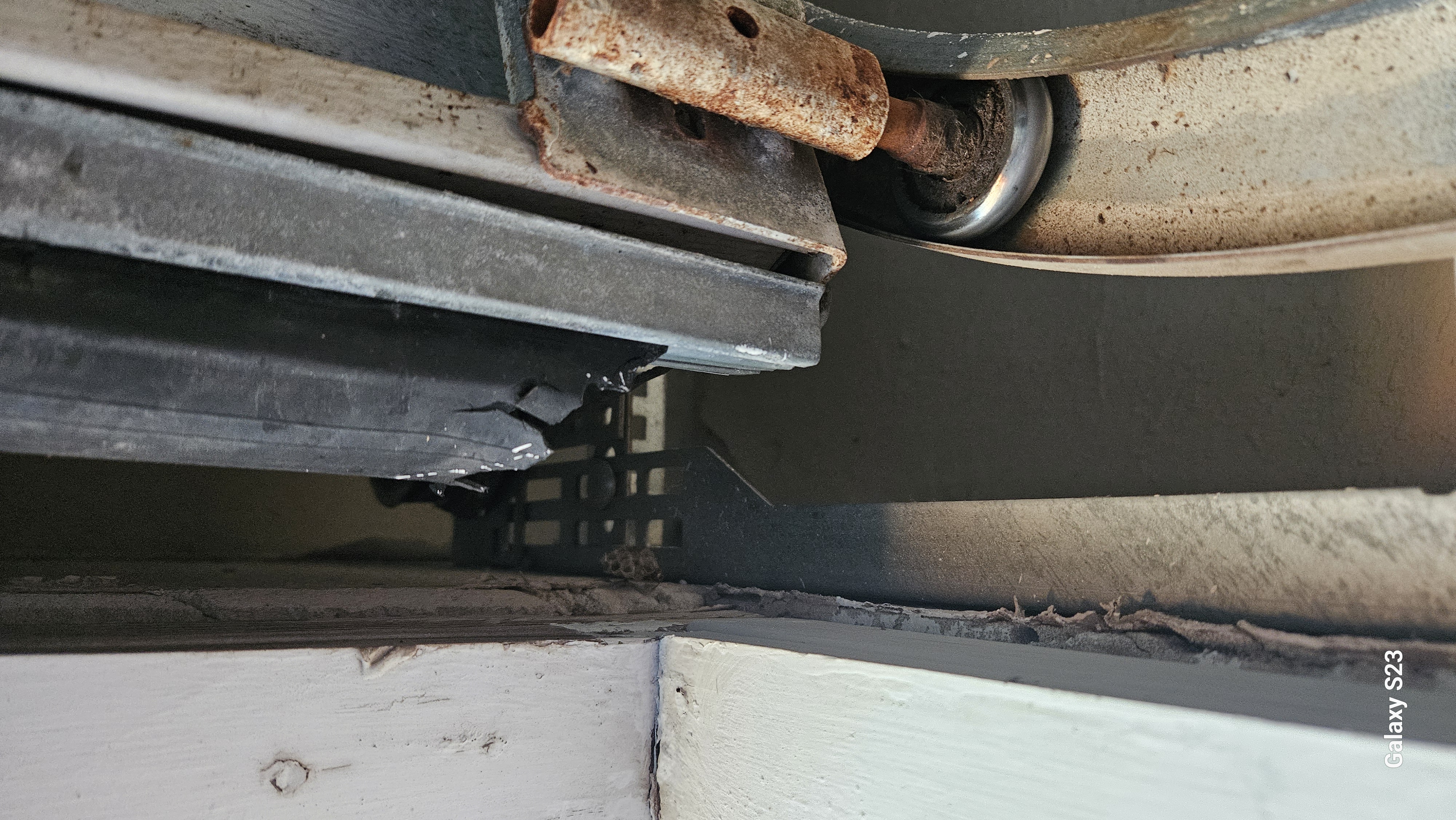 Lone Star Wildlife Solutions technician performing wildlife damage repair on residential property