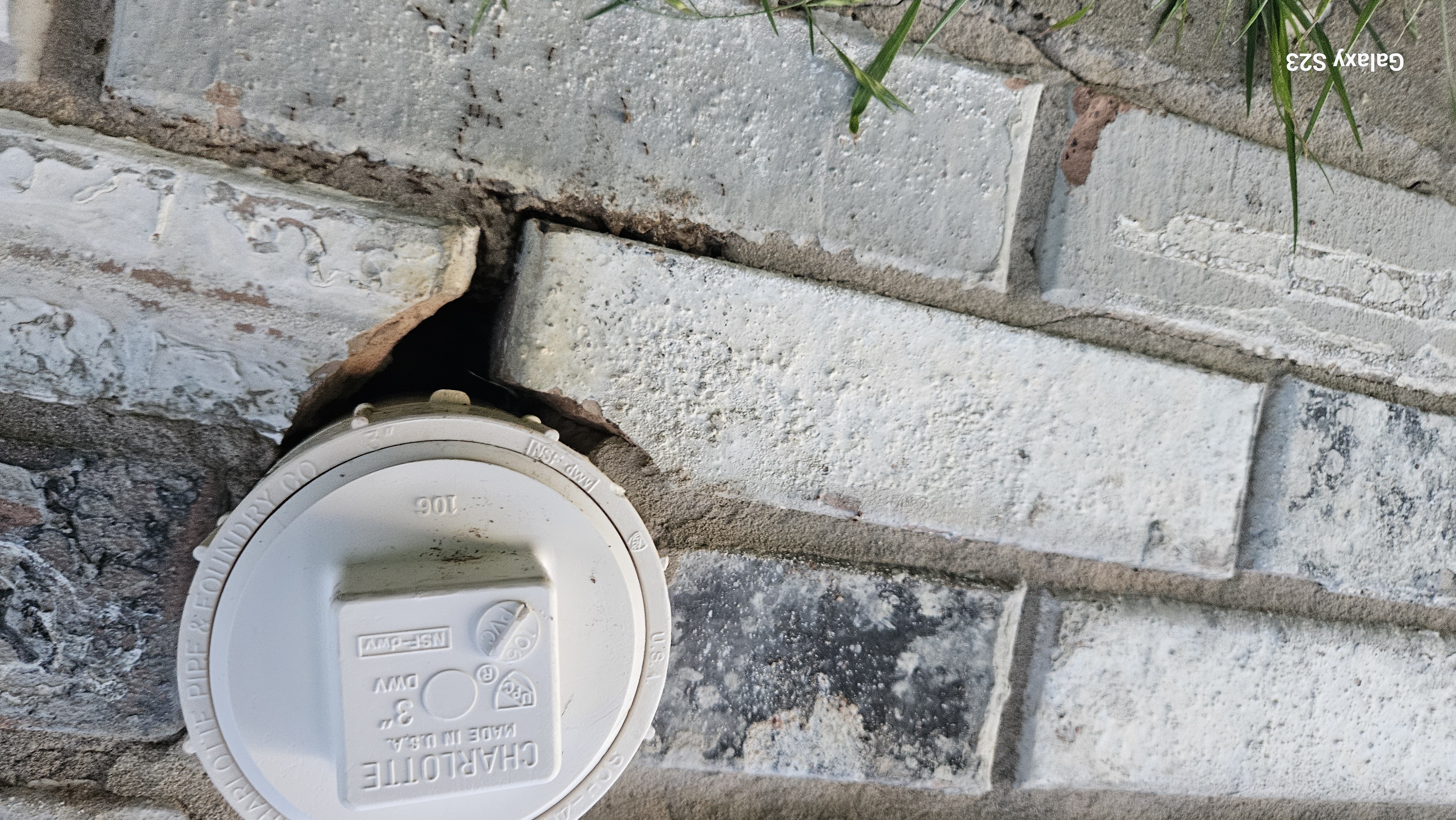 Lone Star Wildlife Solutions technician performing wildlife damage repair on residential property