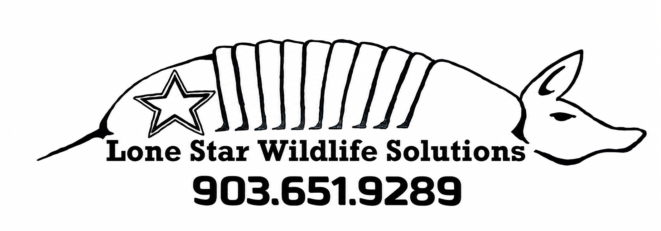Lone Star Wildlife Solutions logo