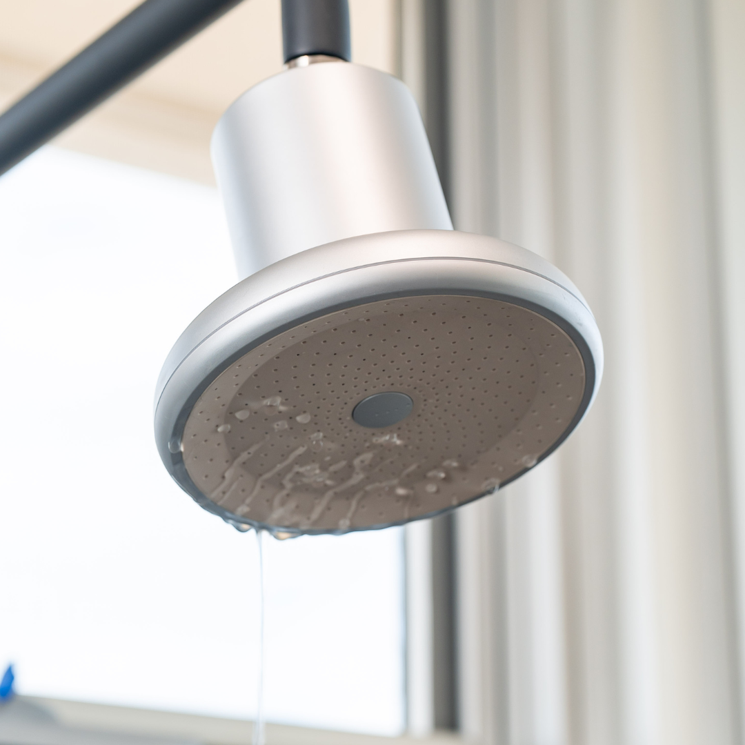 piora shower head