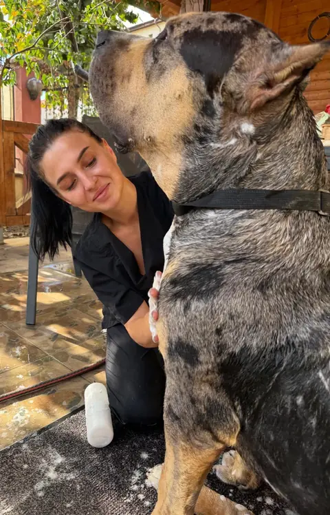 Natalia cu un câine de talie mare cu blană merle