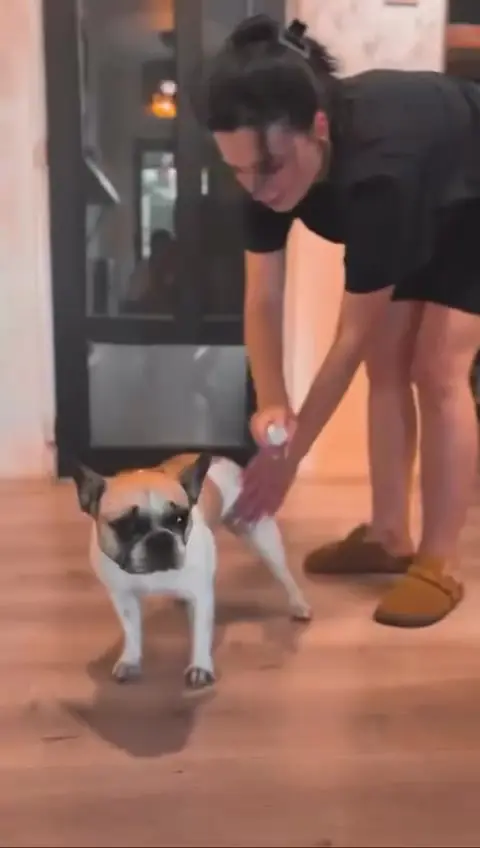 Natalia cu un bulldog francez în salonul Moft Canin de pe Bulevardul Iuliu Maniu