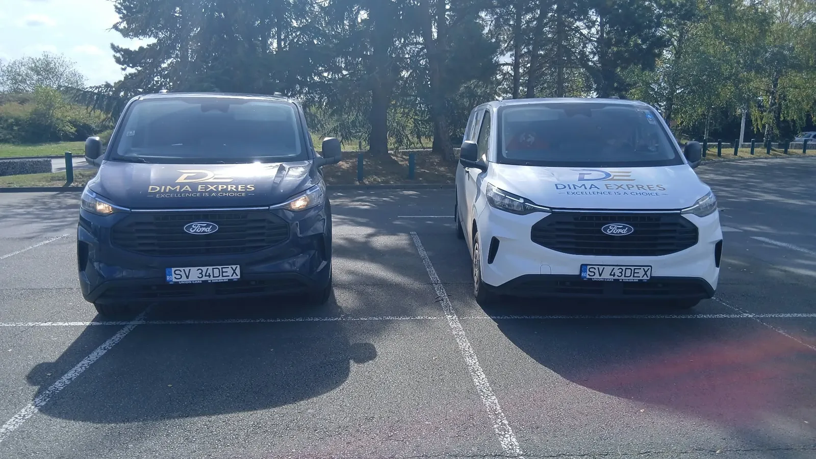 Two Dima Expres vans