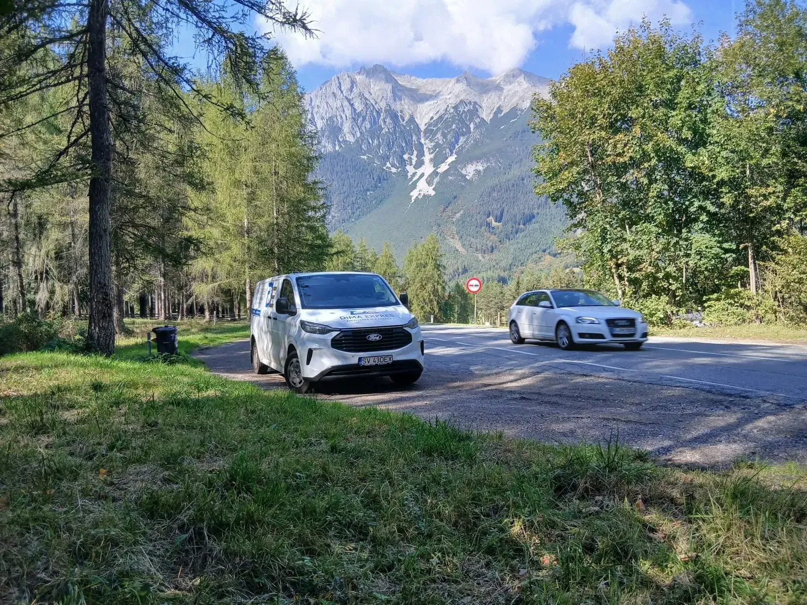 Dima Expres van parked by trees