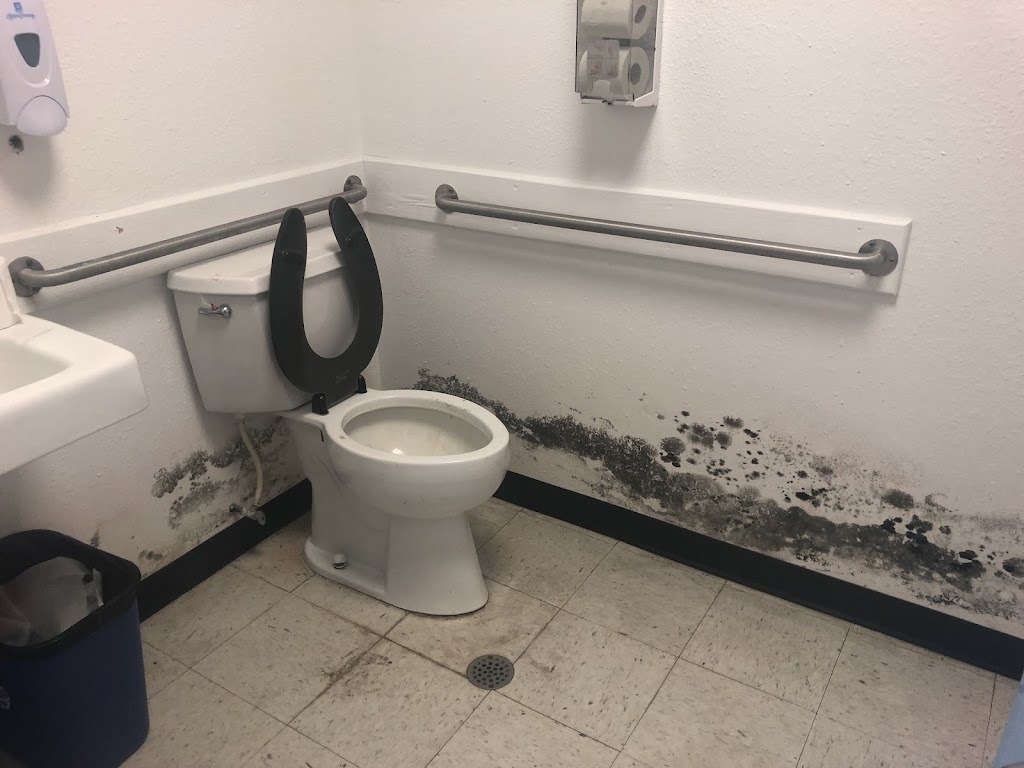 Mold inspection and affected area treatment in South Central