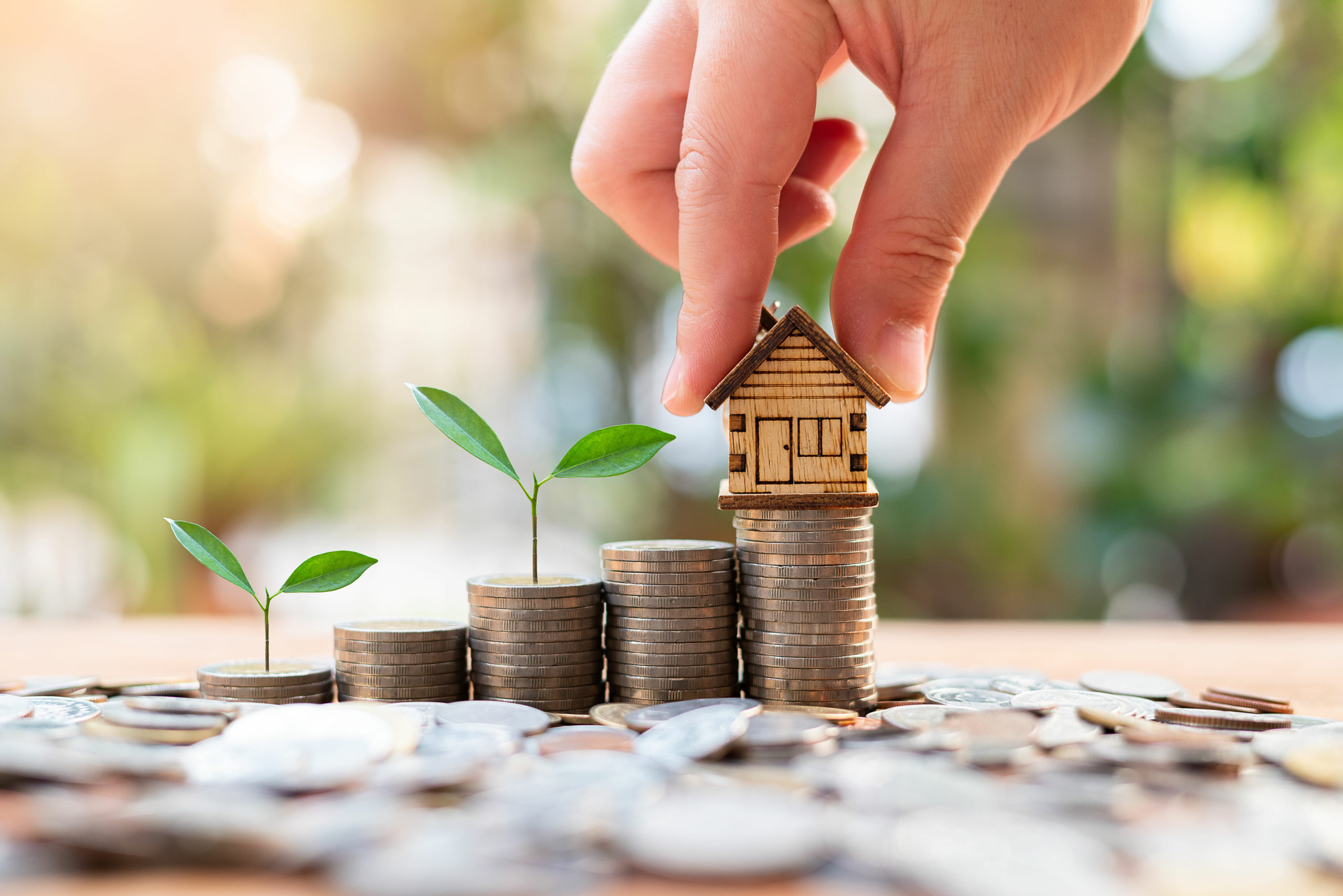 Investment Consultation