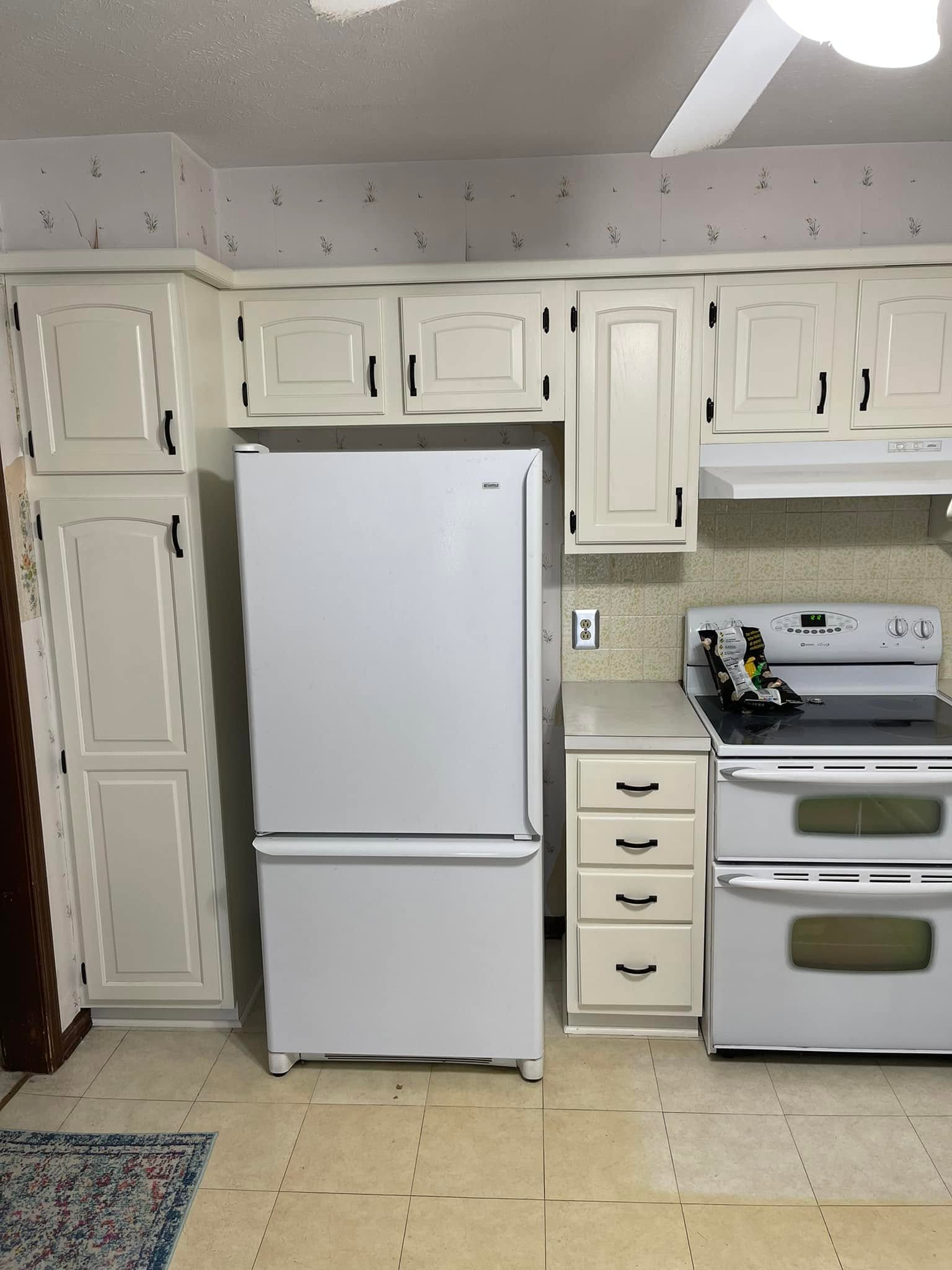 Cabinet color renewal Kansas