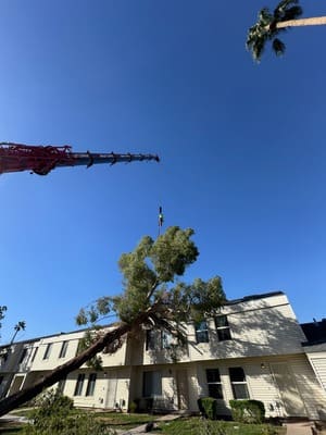 {{ custom_values.service_4 }} in {{custom_values.area_2})