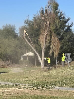 Lot and land clearing in East valley
