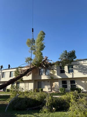 {{ custom_values.service_3 }} in {{custom_values.area_2})