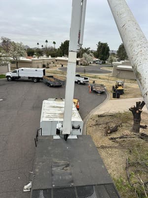 Lot and land clearing in West valley
