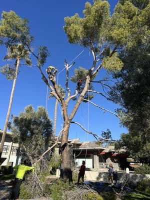 {{ custom_values.service_2 }} in {{custom_values.area_2})