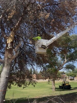 {{ custom_values.service_4 }} in {{custom_values.area_4})