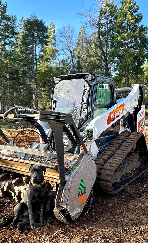 Defensible space clearing creating a fire-safe perimeter
