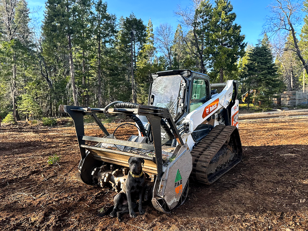 Coyote Brush crew clearing dry vegetation in California for fire prevention