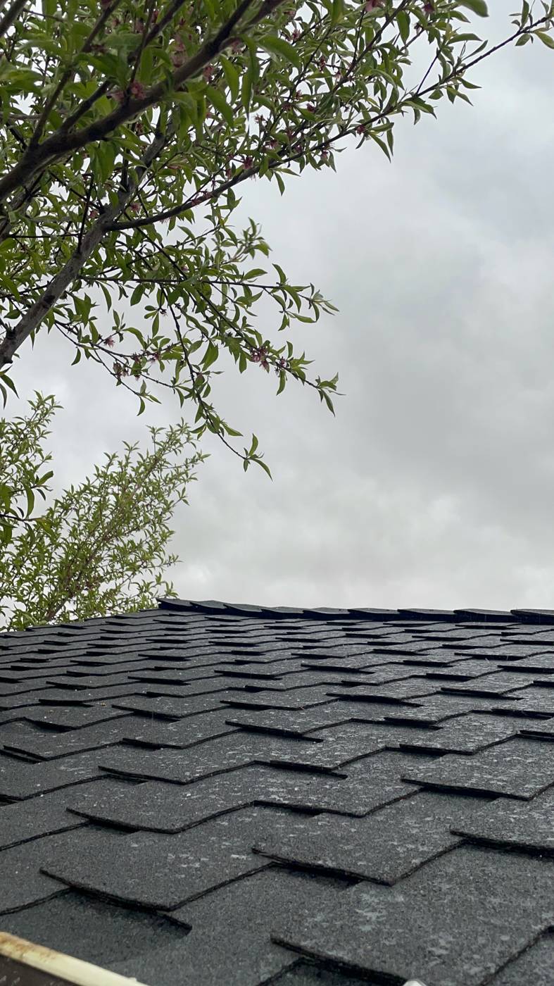 Architectural shingle texture detail