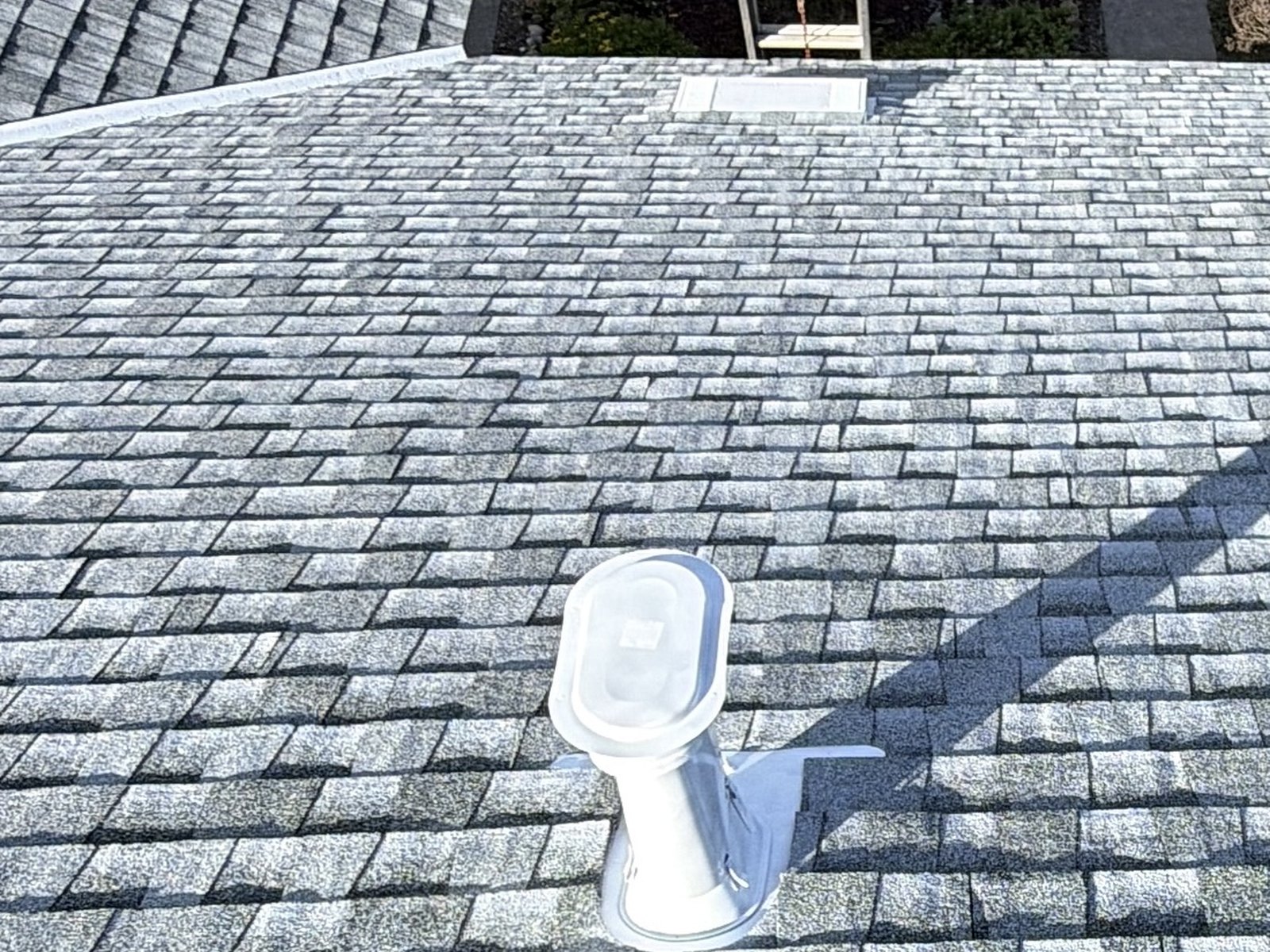 White plumbing vent pipe boot on gray architectural shingles