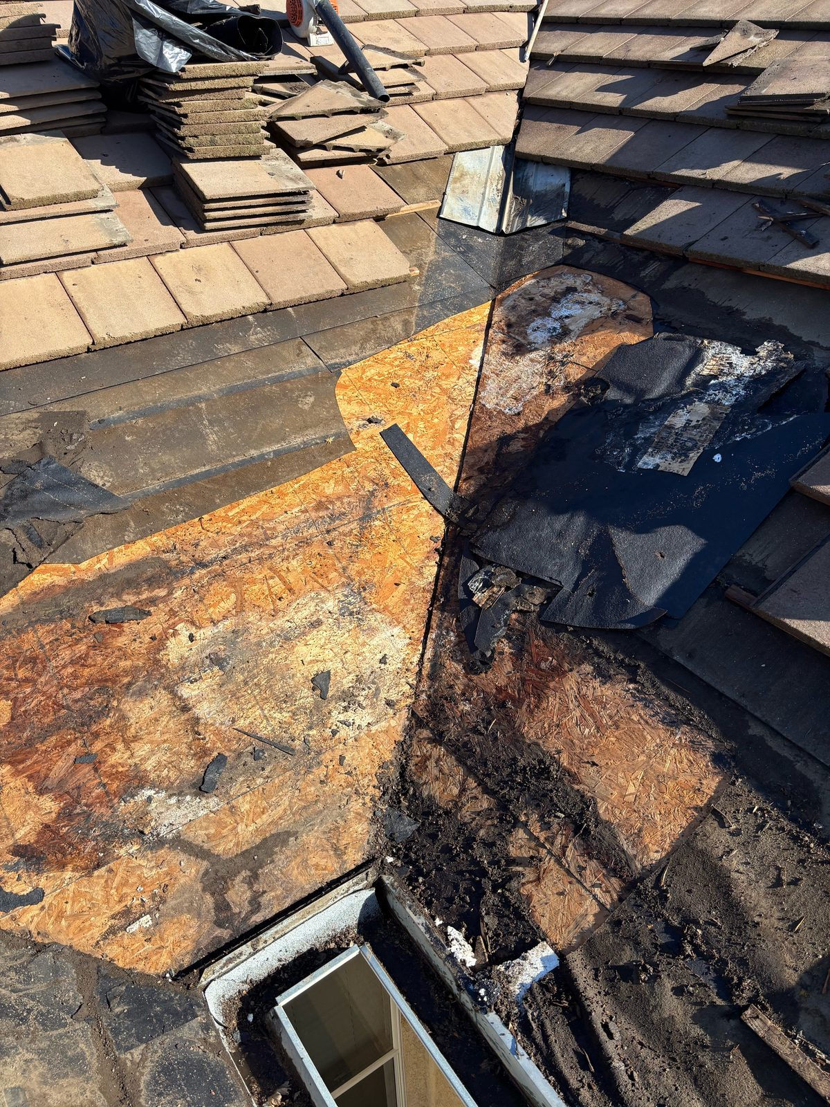 Exposed OSB roof deck in a Ripon tile valley showing dark water staining and rot near a skylight after tiles and old underlayment were removed
