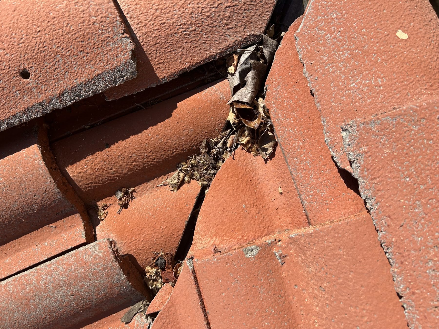 Leaves and dirt packed into the valley between clay roof tiles