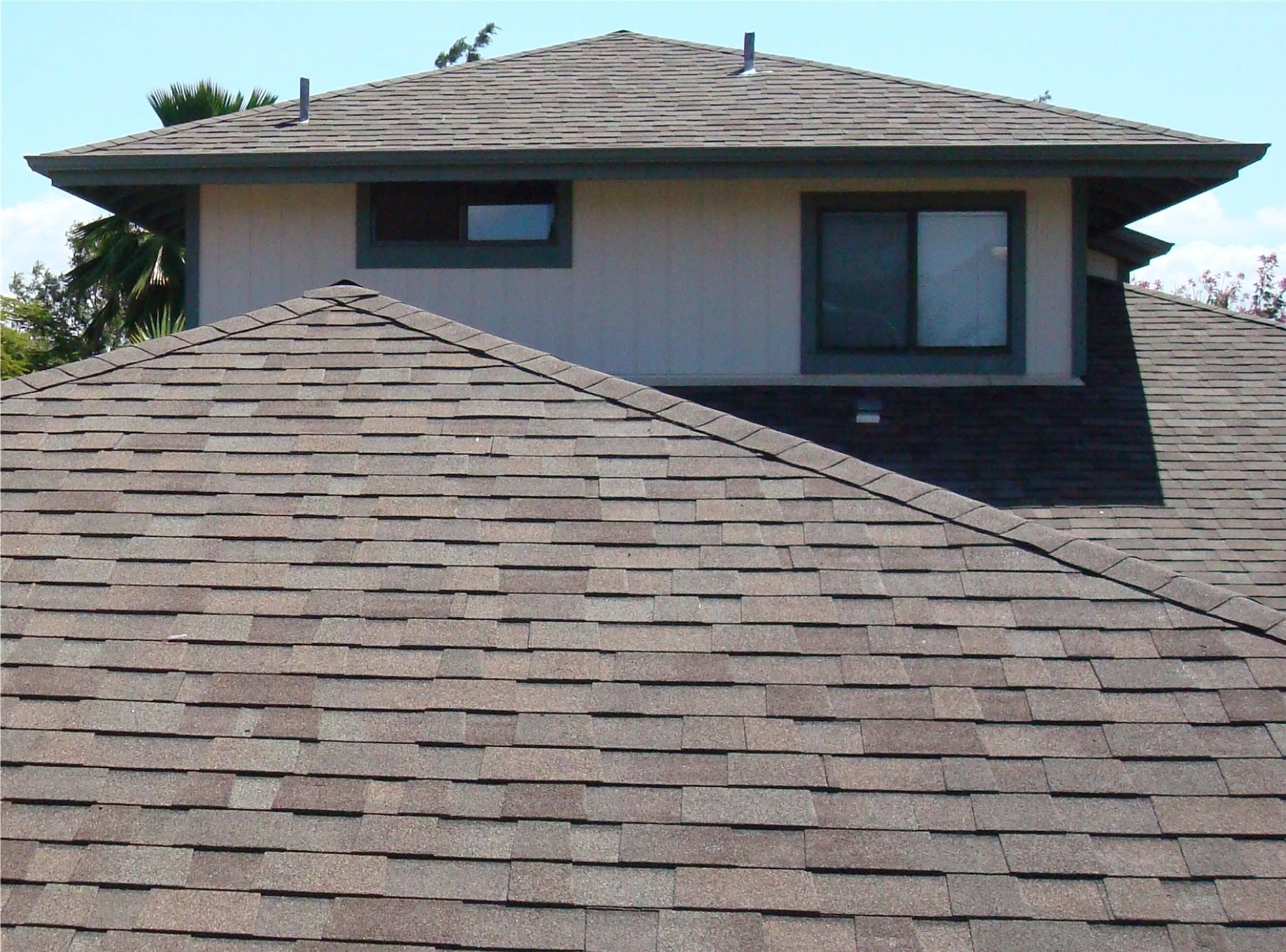 Emergency Leak Repairing Edmonton