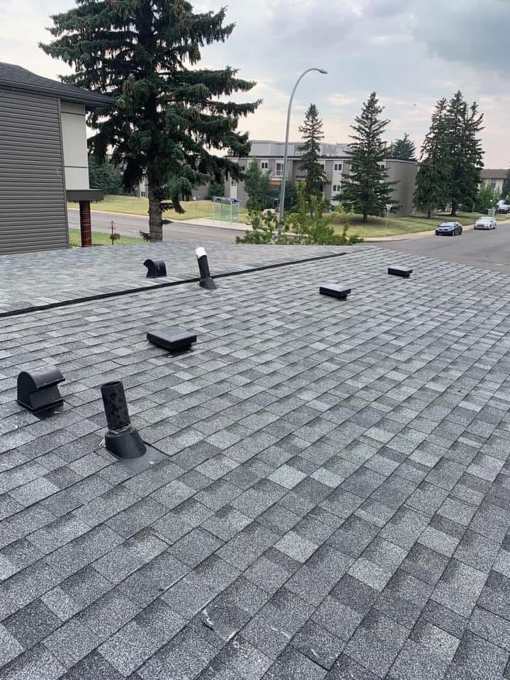 Devon Roof Repairs