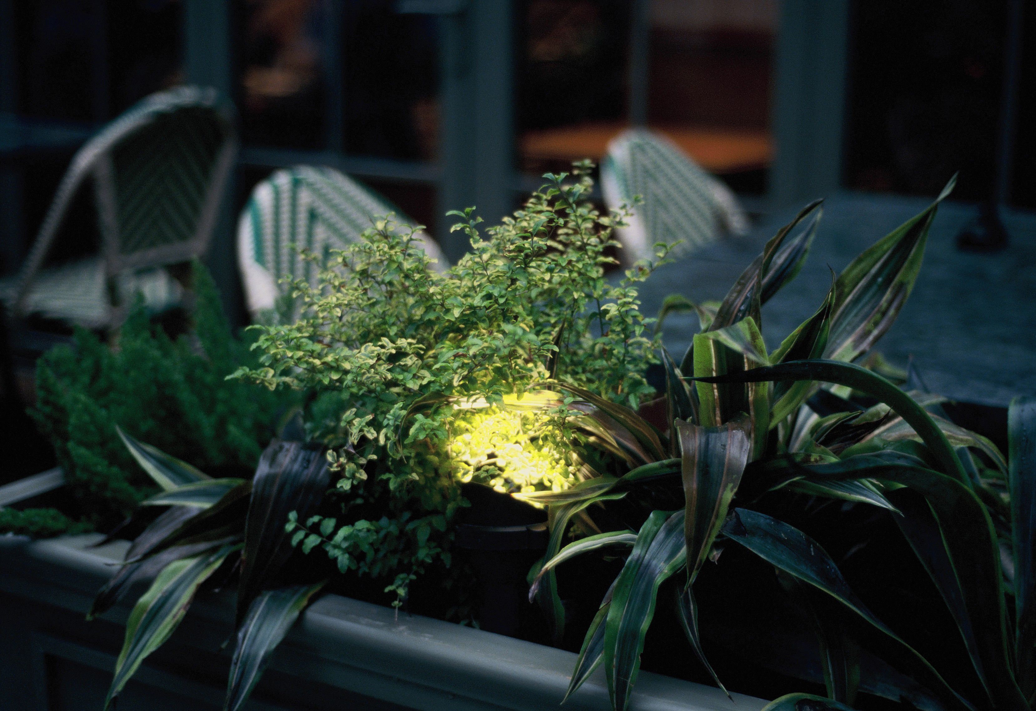 Garden and landscape lighting