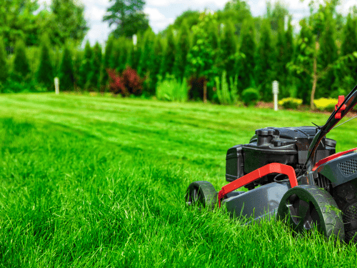 {{ custom_values.service_1 }} in {{custom_values.biz_area_1})