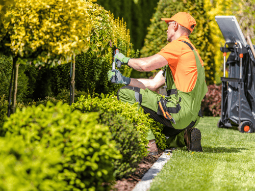 Plants & Trees in Irving Park