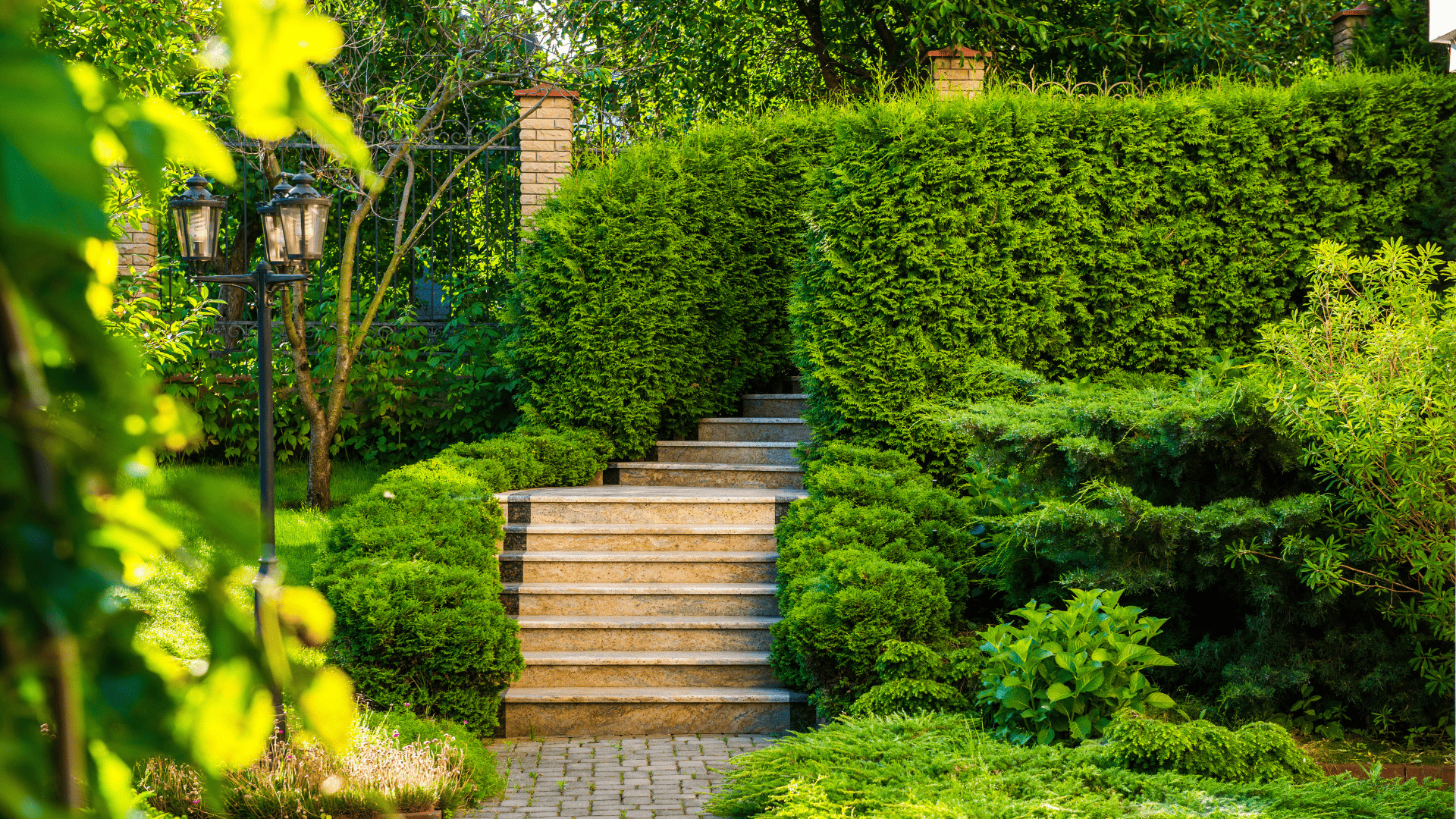 Irving Park Custom/3D Design