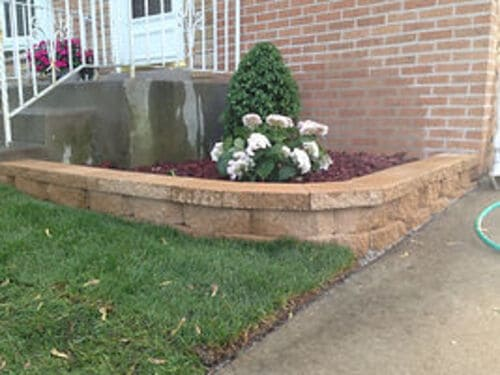 Plants & Trees Irving Park