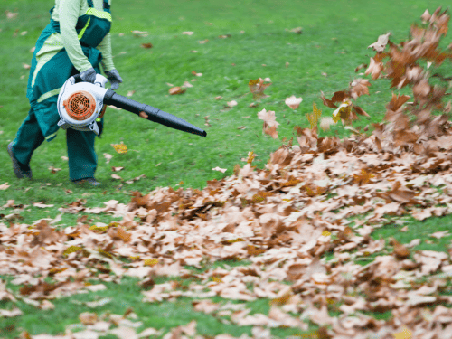 Spring/Fall Cleanups in Irving Park