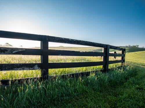 Farm Fence in Cumming