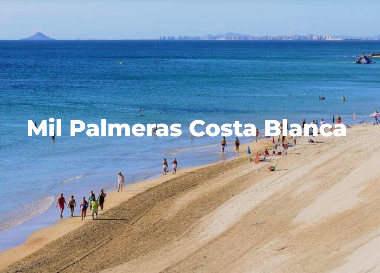 Mil Palmeras