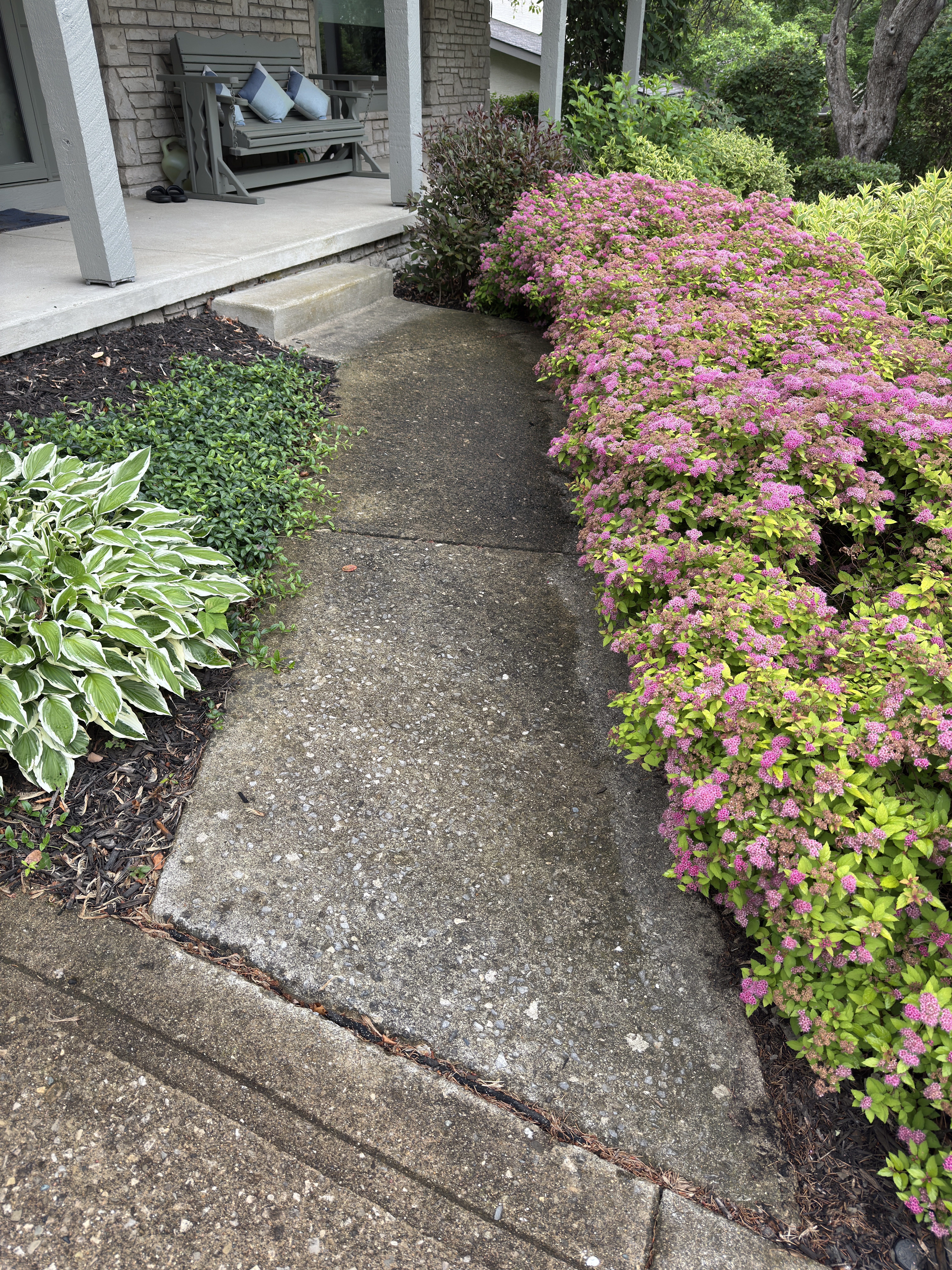 Alpha Power Washing Fence Cleaning before/after in Westerville, OH — before
