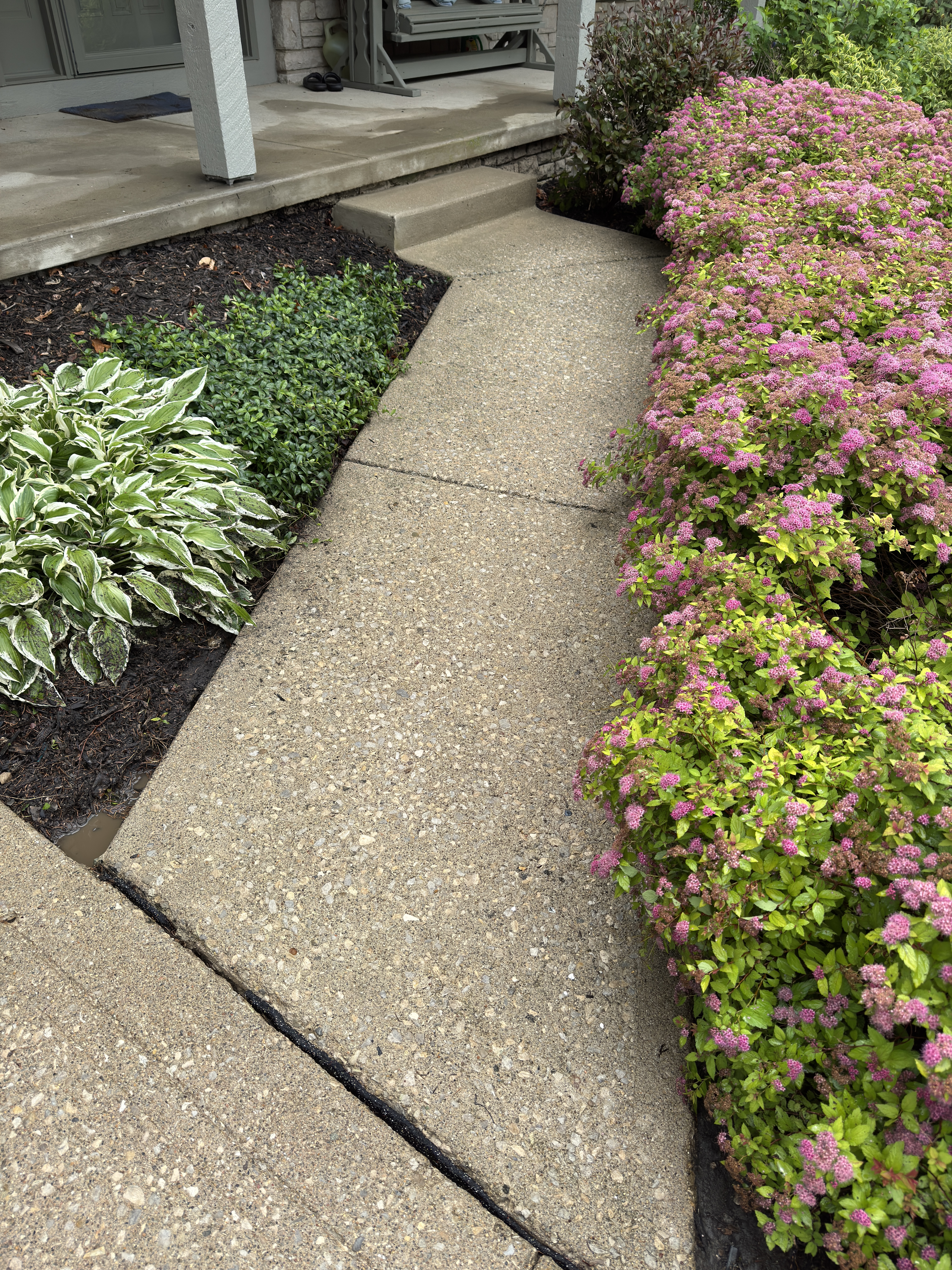 Alpha Power Washing Fence Cleaning before/after in Westerville, OH — after